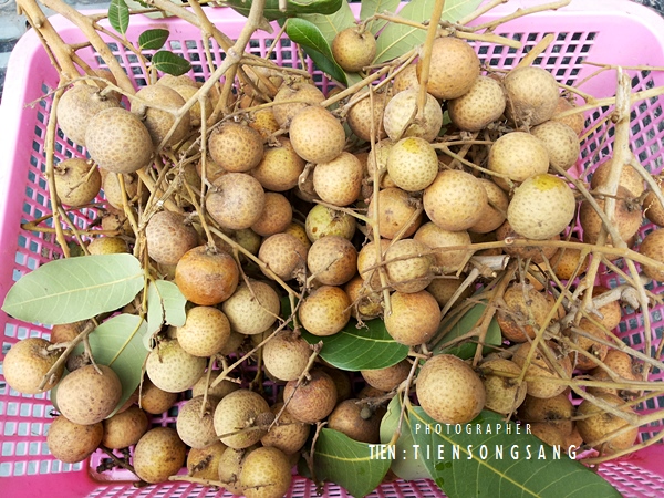 Image Powered By สุรชัย เทียนส่ง